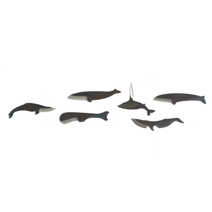 Kujira Animal Knife - Bryde's Whale