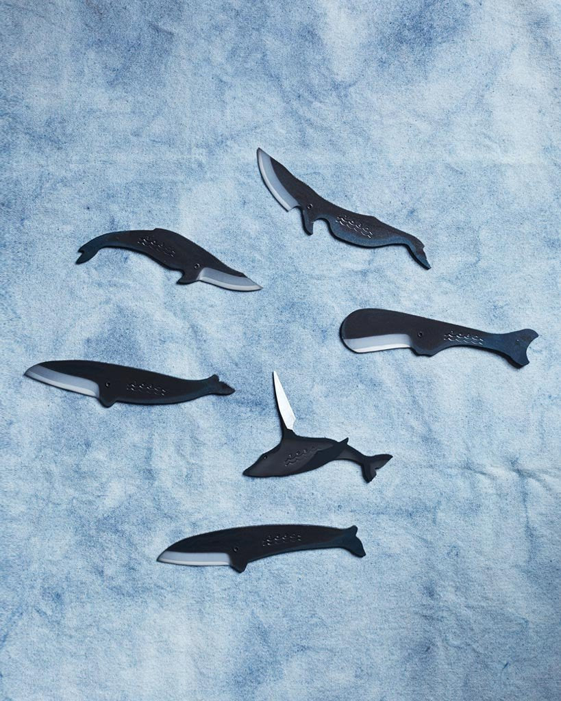 Kujira Animal Knife - Fin Whale