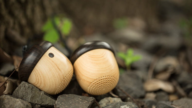 SAONGER Cute Chestnut Fruit Bluetooth Speaker