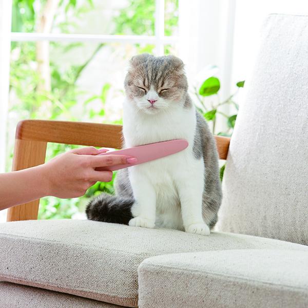 Cat Groomer Massage Brush